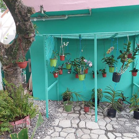 Alex'S Place - Tim Pappies Port Antonio Exterior foto