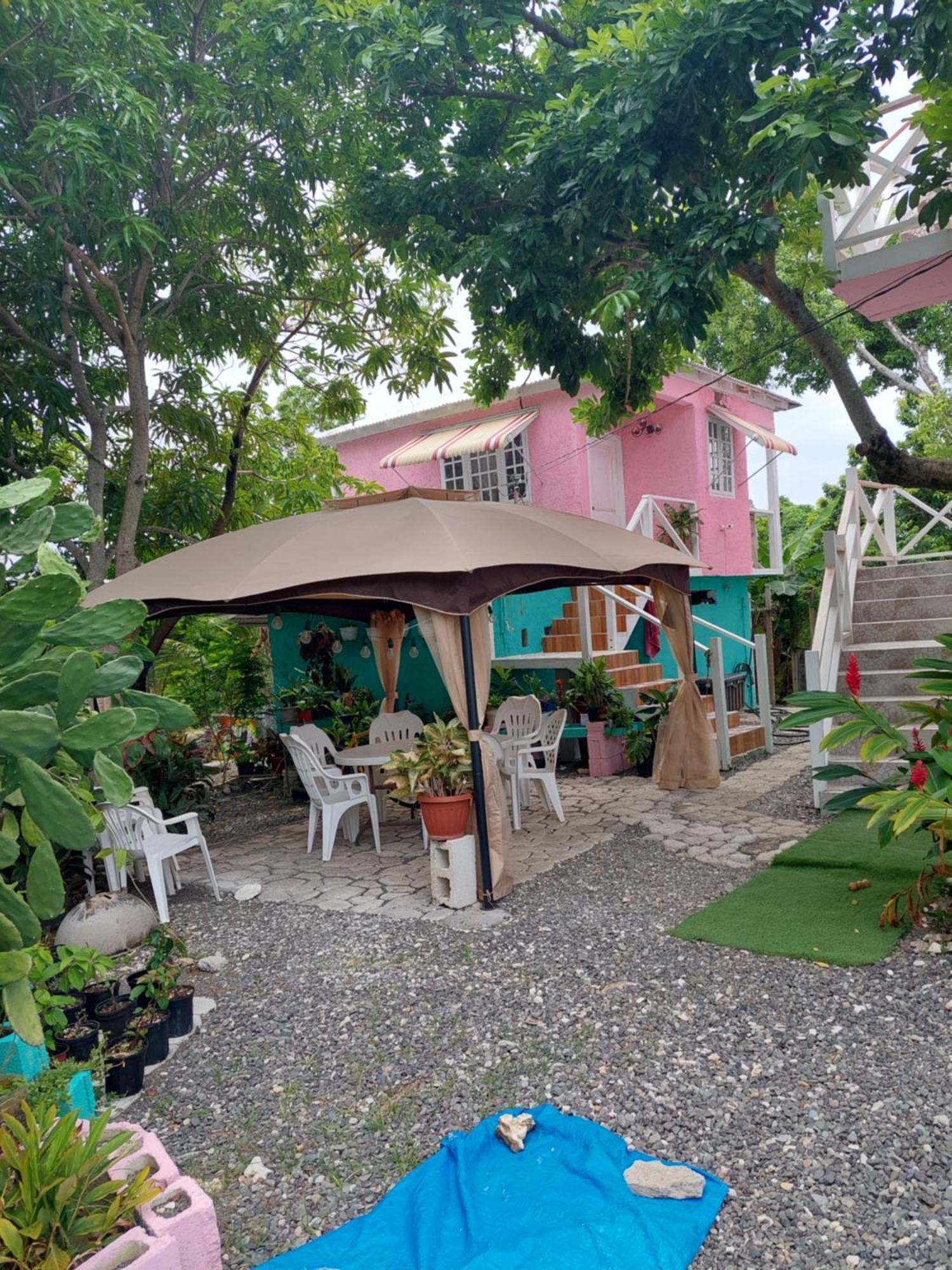Alex'S Place - Tim Pappies Port Antonio Exterior foto